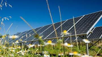 Image of solar farm