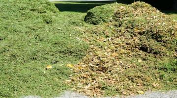 pile of grass cuttings